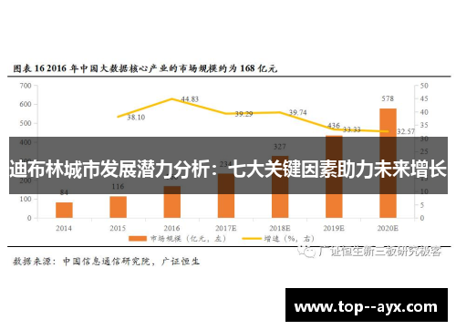 迪布林城市发展潜力分析：七大关键因素助力未来增长