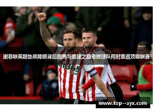 谢菲联英超垫底降级背后困局与重建之路老牌球队何时重返顶级联赛